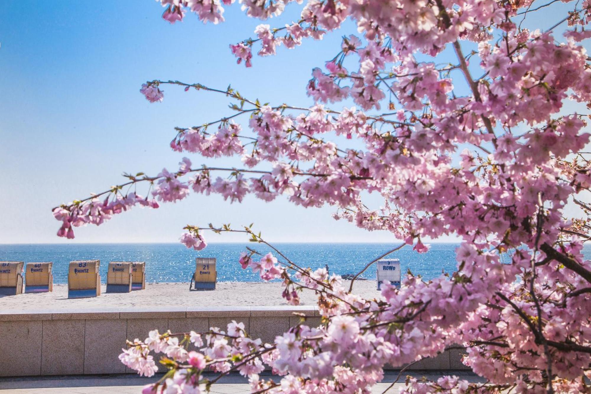 Pink Und Meer - Meerblick, Sauna, Kamin & Whirlpool Бабе Экстерьер фото